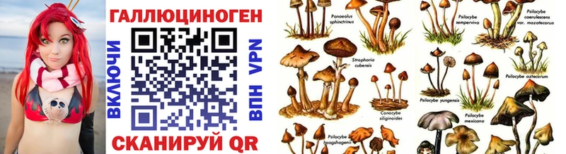 Галлюциногенные грибы GOLDEN TEACHER  Купить где  Гвардейск 